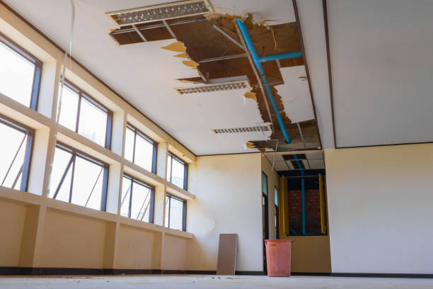 Best Sewage cleanup and water damage restoration  in Butler, OH