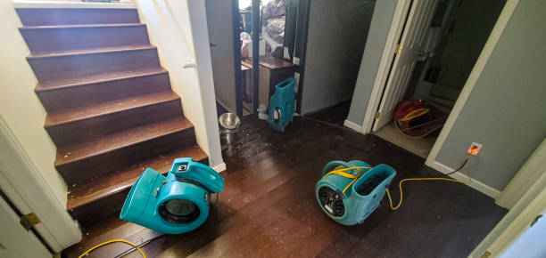 Best Water damage repair service  in Butler, OH