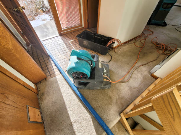 Best Basement water damage restoration  in Butler, OH
