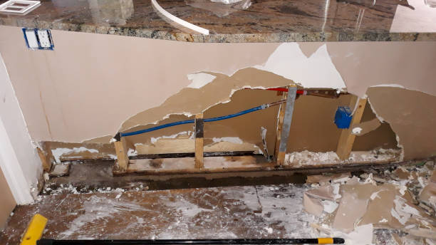 Best Mold removal after water damage  in Butler, OH
