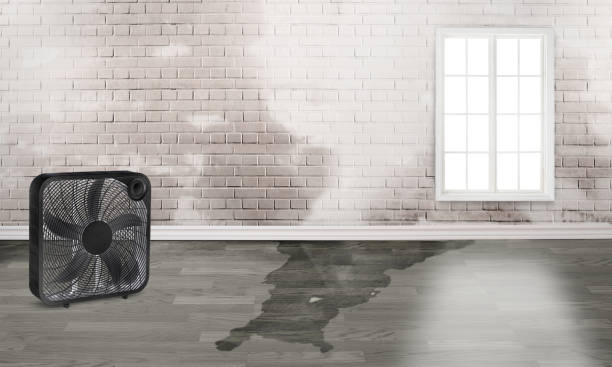 Best Water damage restoration specialists  in Butler, OH