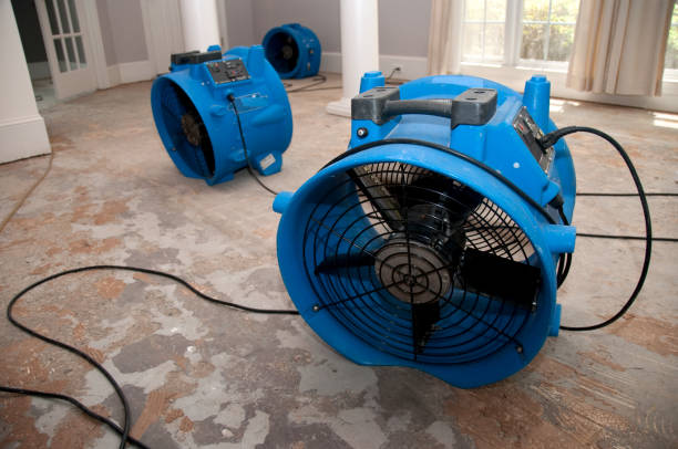 Best 24/7 water damage repair  in Butler, OH