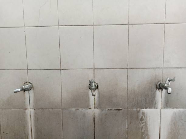 Best Commercial water damage restoration  in Butler, OH