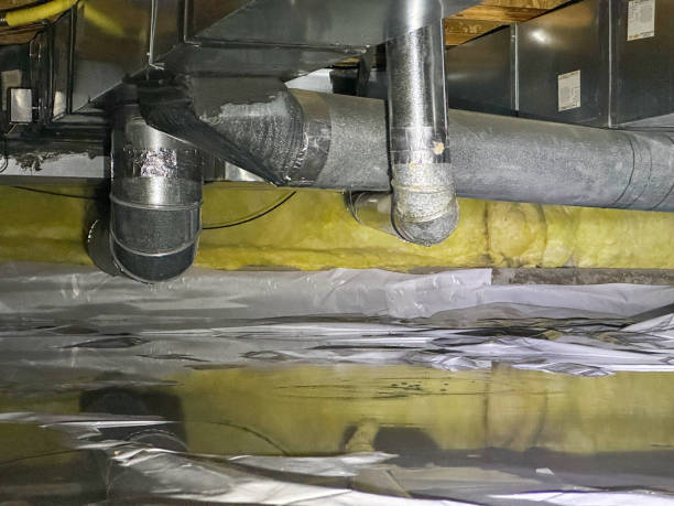 Best Carpet water damage restoration  in Butler, OH