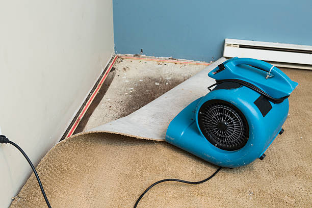 Best Water damage contractors near me  in Butler, OH